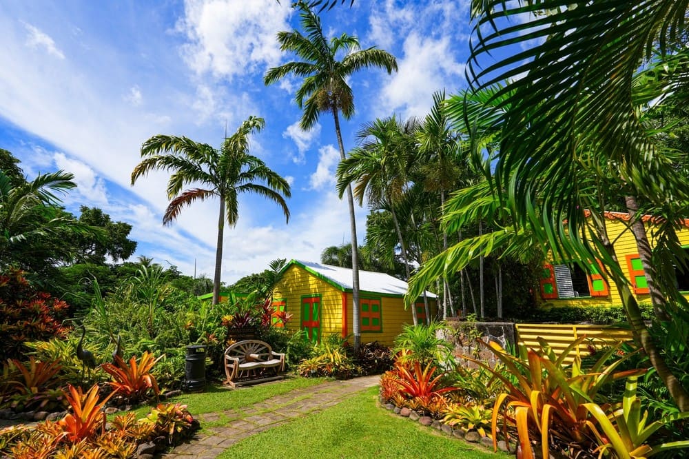 Yellow cottages with green shutters in a tropical garden on Nevis
